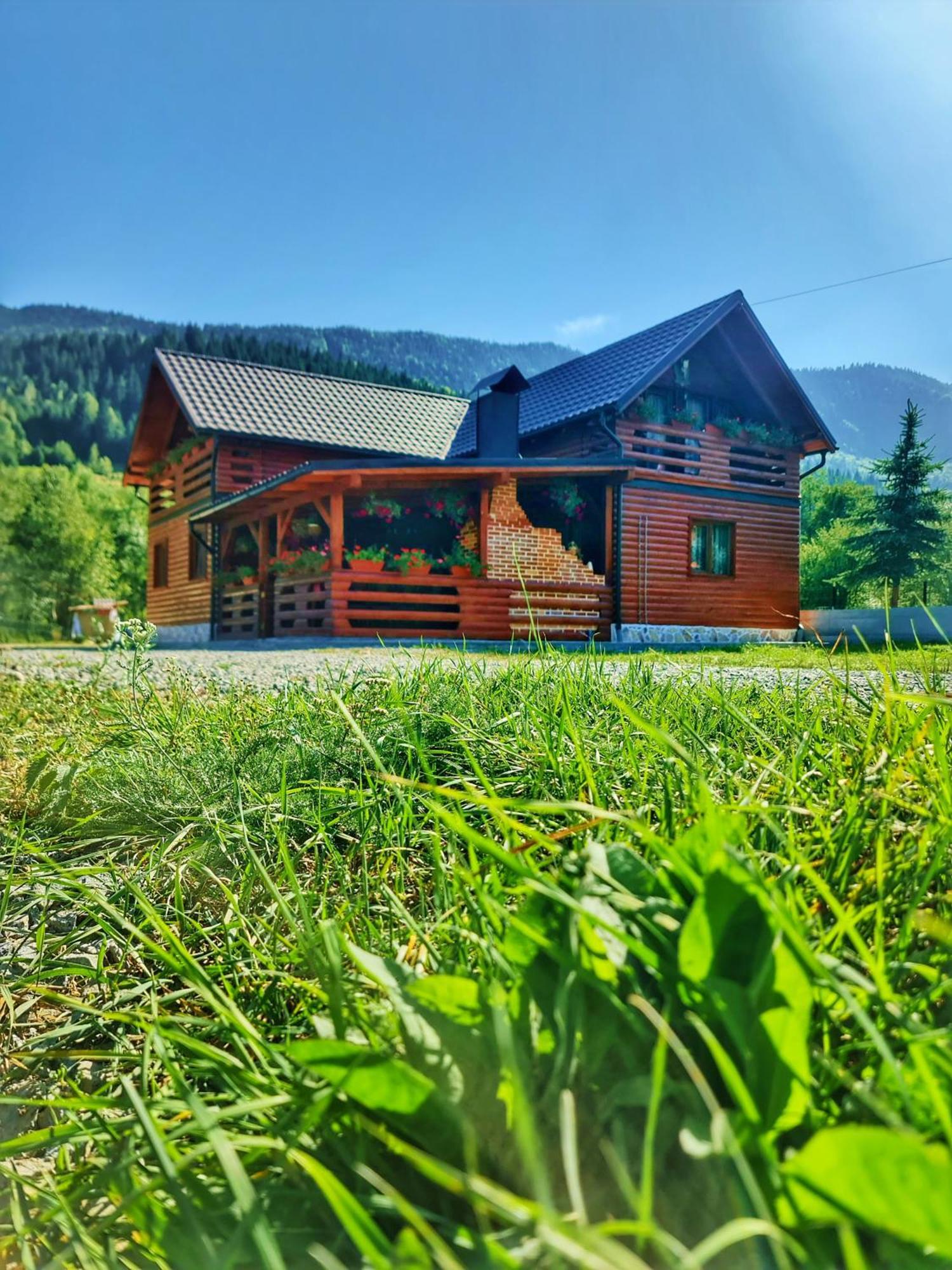 Cabana Dintre Munti Vidra  Exterior foto